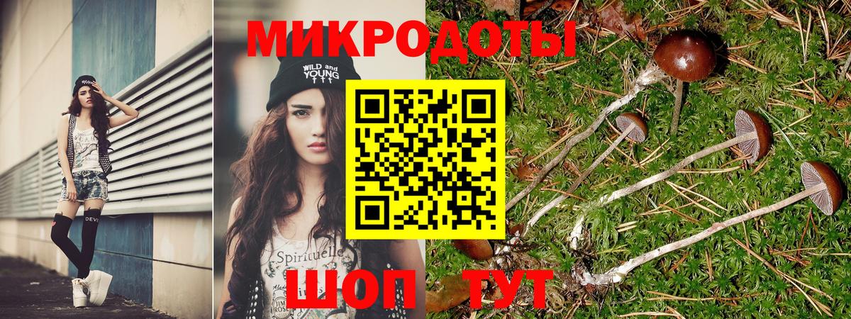 Псилоцибиновые грибы мицелий  Галлюциногенные грибы мицелий  Миллерово  Вход с VPN 